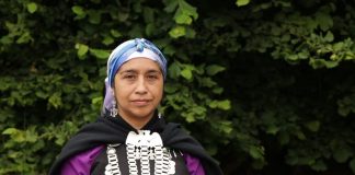 #MIRADANACIONAL Las propuestas de Ingrid Conejeros, candidata indígena a Constituyente, en pro del medio ambiente y los DDHH