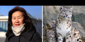 #MUNDO Profesora de idiomas salva hábitat de Leopardo de las nieves