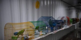 #MUNDO Aprueban prohibición a comercio de animales vivos en plazas de mercado de Bogotá