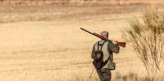 #ESPAÑA El Colegio de Biólogos declara que la caza no es sostenible y un riesgo para la fauna