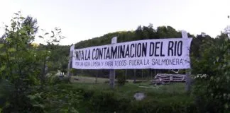 #LAARAUCANIA Piscicultura en Chesque Alto impacta el agua de una de las zonas más prístinas de Chile, denuncian vecinos