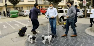 #VALPARAISO Candidato a concejal por Viña llama a fomentar la tenencia responsable en el día a día