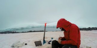 #MAGALLANES Algas contribuyen a la pérdida de nieve en la península Antártica