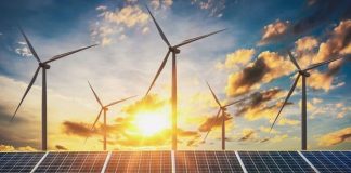 #TENDENCIAS Se prevé fuerte alza de uso de energías renovables para 2021