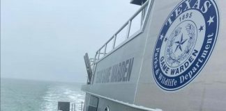 #MUNDO Miles de tortugas marinas fueron rescatadas de morir congeladas alrededor de South Island