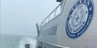 #MUNDO Miles de tortugas marinas fueron rescatadas de morir congeladas alrededor de South Island