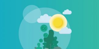 #TENDENCIAS Criptoactivo verde desarrollado en Chile alcanza las 4 mil toneladas de CO2 reducidas en 2 meses de funcionamiento