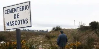 #VALPARAISO Alianza público-privada avanzará en creación de cementerio para animales en Jardín Botánico