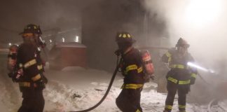 #MUNDO 100 animales muertos tras explosión en la tienda donde estaban a la venta