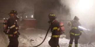 #MUNDO 100 animales muertos tras explosión en la tienda donde estaban a la venta