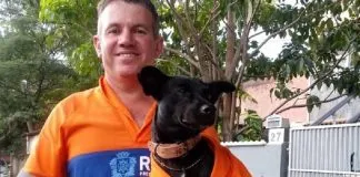 #MUNDO «Un poco negrito», el perrito que acompaña a su humano a limpiar las calles de Brasil