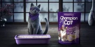 #MIRADANACIONAL Anuncian el retiro del alimento Champion Cat a la espera de los resultados de la investigación, tras las denuncias en su contra