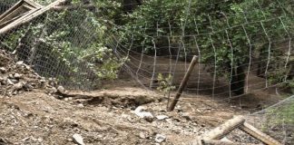 #SANTIAGO Se desconoce el paradero de dos pumas rescatados, tras la destrucción de su recinto por el aluvión de San Alfonso