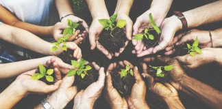 #TENDENCIAS ONG FIMA realizará taller sobre Constitución Ecológica para candidaturas a constituyentes