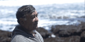 #LAARAUCANIA Vinculando ciencias y saberes locales Explora prepara lanzamiento de serie documental