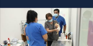 #SANTIAGO Inauguran primera Clínica Veterinaria Municipal en La Pintana