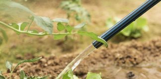 #TENDENCIAS Incentivo tributario a empresas que adhieran a Certificado Azul, asociado a producción limpia