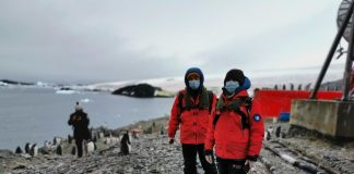 #MAGALLANES Ciencia en tiempos de pandemia: testimonios de investigadores e investigadoras antárticas