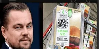 #Mundosincrueldad Leonardo Di Caprio llama a sus fans a preferir hamburguesas veganas
