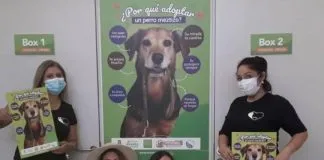 #TENDENCIAS La historia de AnimalHijos del Valle, la agrupación que se la juega por los animales en Quilicura