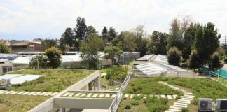 #MUNDO Abren centro para atender animales silvestres víctimas de tráfico ilegal en #Colombia