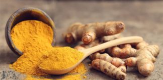 #SALUD La curcumina en la comida para perros puede mejorar su salud, afirman expertos