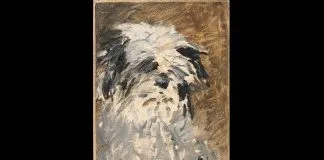 #TENDENCIAS Cuadro de un perro que Manet pintó en solo unos minutos fue vendido por más de 451 millones de pesos