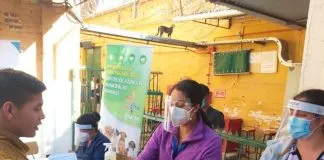 #VALPARAISO Linda iniciativa: Gatos de la cárcel de Limache fueron vacunados y desparasitados