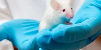 #MIRADANACIONAL Ariadna Beroiz es la nueva representante del mundo de la protección animal en el Comité de Bioética