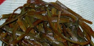 #Mundosincrueldad Lanzan e-book gratuito con recetas marinas veganas