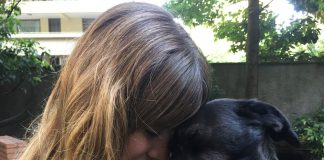 #TENDENCIAS Lanzan segunda temporada de «Zoom Animal» en 13c