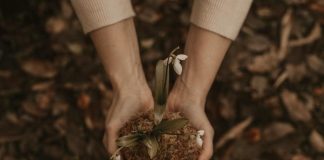 Día Mundial de la Tierra, una fecha para reflexionar