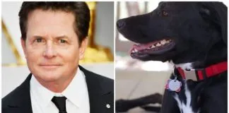 #MUNDO Michael J Fox llora la muerte de su perrito Gus