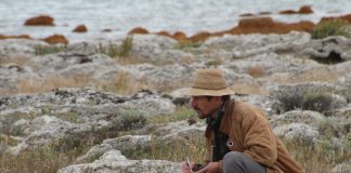 #TENDENCIAS Concluye etapa de producción en terreno de documental científico sobre el Estrecho de Magallanes