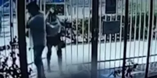 #SANTIAGO Detienen a mujer, tras darle feroz patada a perro en la entrada de un edificio
