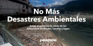 #MIRADANACIONAL Lanzan campaña contra la industria salmonera, por el desastre medio ambiental que ha dejado en el sur de nuestro país