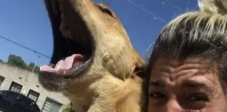 #TENDENCIAS Reencuentro de perrito extraviado con su humana se vuelve viral