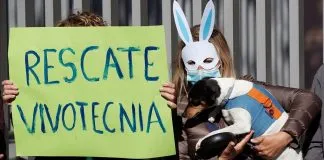 #MUNDO Decenas de personas exigen en Barcelona la liberación de animales de Vivotecnia