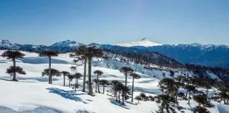 #TENDENCIAS Presentarán primer catálogo de paisajes de Chile en seminario online de la Ruta Lagos & Volcanes