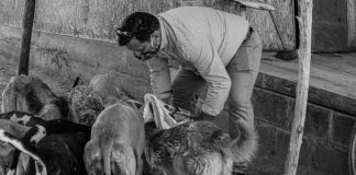 #SANTIAGO Carlos Maureira, candidato a alcalde de Isla de Maipo,: «Queremos tener una comuna sustentable»