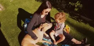 ¿Cómo abordar adecuadamente el actuar de nuestros animales y los posibles problemas de comportamiento que puedan presentar?