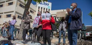 #PUNTOLEGAL Abren investigación contra el laboratorio Vivotecnia en España, tras denuncias de maltrato animal