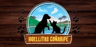 #CAMPAÑAS Ayuda a Huellitas Coñaripe a seguir salvando peluditos