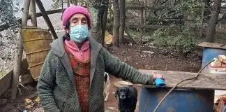 #MIRADANACIONAL Organizaciones animalistas despiden a la abuelita y rescatista Norma, tras su brutal asesinato en #Osorno