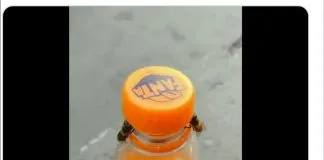 #MUNDO Dos abejas sedientas logran abrir una bebida en tiempo récord