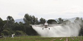 #LAARAUCANIA Comunidades Mapuche Lafkenche interponen recurso a causa de desastre socioambiental causado por plaguicidas