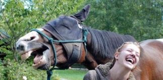 #COMPORTAMIENTOANIMAL Estudio rectifica que los animales ríen como los seres humanos