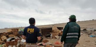 #ANTOFAGASTA Detienen a mujer, tras encontrar a dos cerdos encerrados en una caja de madera