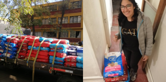 #TENDENCIAS Conocida empresa donó 2800 kilos de comida para gatos y arena sanitaria que serán distribuidas a rescatistas