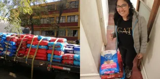 #TENDENCIAS Conocida empresa donó 2800 kilos de comida para gatos y arena sanitaria que serán distribuidas a rescatistas